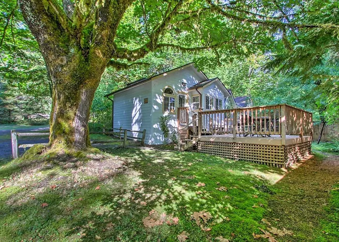 Elk Hideaway Ashford Cottage With Hot Tub!
